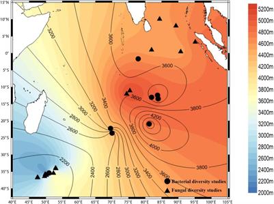 Bacterial and Fungal Diversity in Sediment and Water Column From the Abyssal Regions of the Indian Ocean